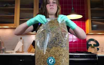 How to Make Ecovative GIY