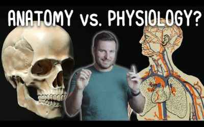 Basics of Anatomy Explainer Videos Playlist for Biology and Medical Students