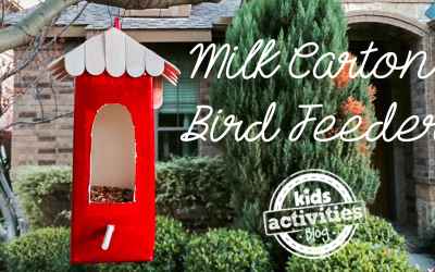 Milk Carton Bird Feeder