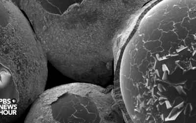 Want to cut carbon emissions? Try growing cement bricks with bacteria