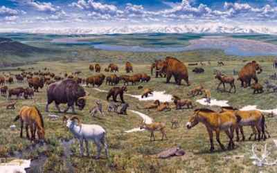 ReWilding Arctic, Solar Geoengineering Among Last Ditch Options for Climate Change