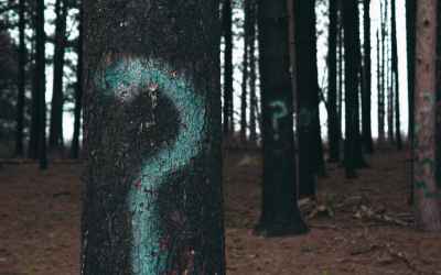 How to ask an unknown person for advice – Hacker Noon
