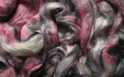 The benefits and environmental impacts of soysilk - tortoise & lady grey