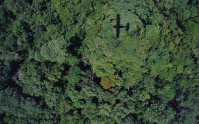 Illegal Logging and Deforestation | Global Witness | Global Witness
