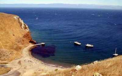 Behaviour of waves