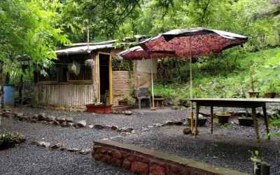 How One Amazing Lady Transformed Barren Land Into a Lush Farm Singlehandedly