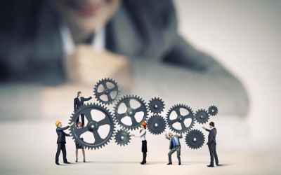 How to Start and Build a Profitable Business? - Trdinoo