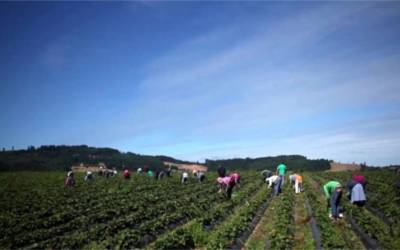 10 Best Sustainable Food and Farming Documentaries