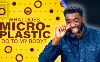 What Do Microplastics Do To My Body? | National Geographic