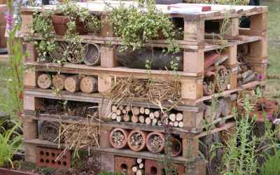 Attract Beneficial Insects & Bees With Your Own Insect Hotel