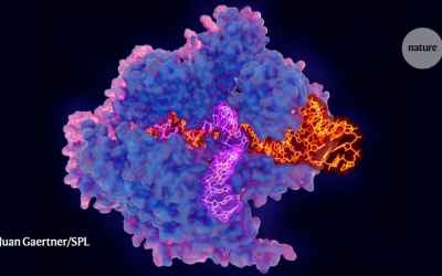 Super-precise new CRISPR tool could tackle a plethora of genetic diseases