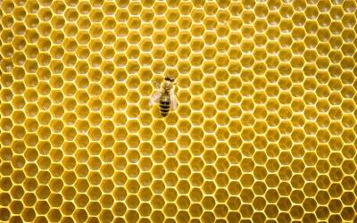 Hexagons! And other reasons to love math