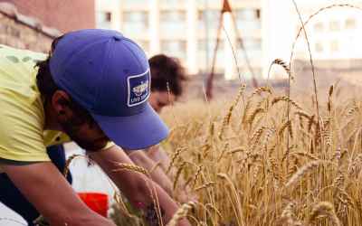 An Urban Rooftop Garden With a Twist: They
