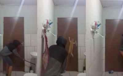 Dude tries to catch a rat with his cat and it does not go well