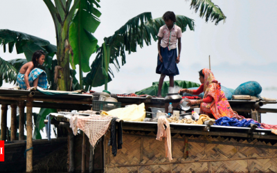 Flood waters maroon 29 districts in Assam, death toll rises to 27 - Times of India