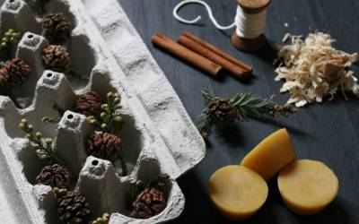 DIY: Eco-Friendly Fire Starters: Gardenista