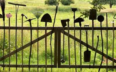 An hour of gardening does this to your body