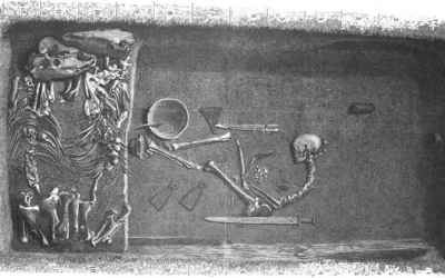 Viking warrior buried with two horses was a woman, study shows - Horsetalk.co.nz