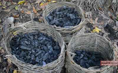 Primitive Technology: Charcoal
