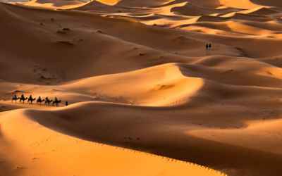 Could We Run Out Of Sand? We Might Be Headed For A Crisis, UN Report Warns
