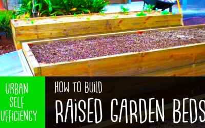 How To Build Raised Garden Beds