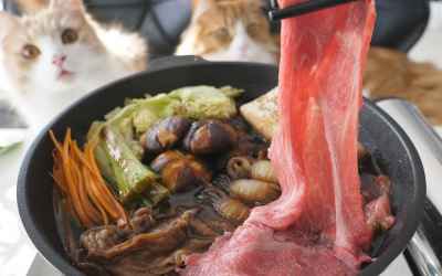 How to Make Sukiyaki with Homemade Tofu