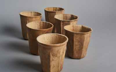 Gourd Cups May Solve Our Single-Use Plastic Cup Problem