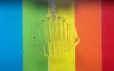 Transparent, gel-based robots can catch and release live fish