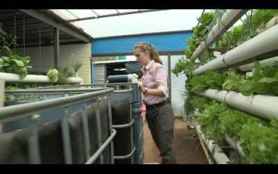 Kid Engineer: Growing Plants with Fish | Design Squad