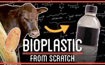 Turning Milk, Potatoes and Sugar into Plastics | How To Make Everything