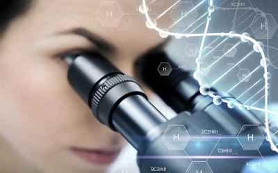 List of Research Meetings and Conferences on Aging Science - Trdinoo