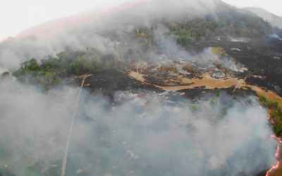 The Amazon rainforest is on fire. Here