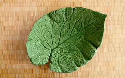 How to ShapeCrete - Decorative Concrete Leaf