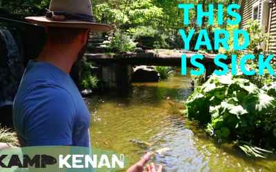The Ultimate Yard for Animal and Nature Lovers
