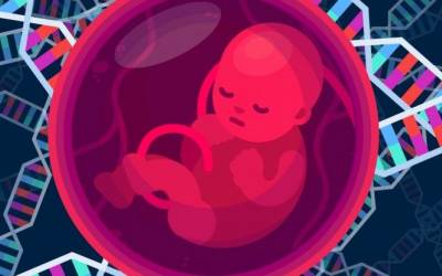 This video perfectly explains why CRISPR really will change the world forever