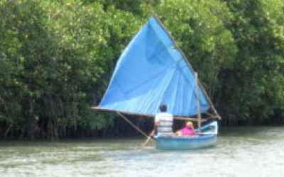 Protecting Pichavaram mangroves in coastal Tamil Nadu