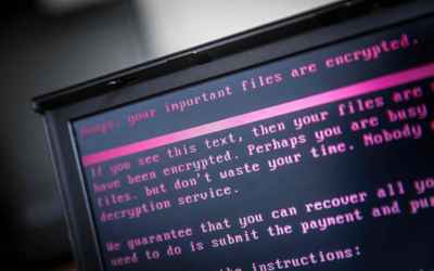 UN survey finds Singapore near-perfect in cybersecurity, India ranks 23rd
