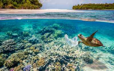 700 Marine Species Might Go Extinct Because of Plastic Pollution. 5 Ways You Can Help!