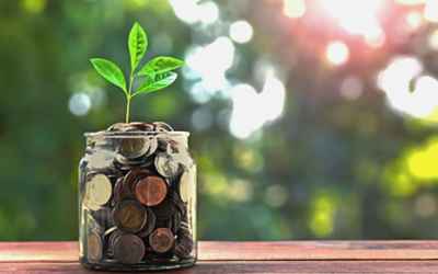You can help your city earn $500 million by just planting trees. Here