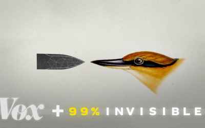 The world is poorly designed. But copying nature helps. Its called Biomimicry