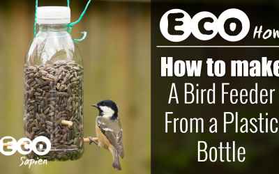 Eco How: How to make a Bird Feeder from a Plastic Bottle