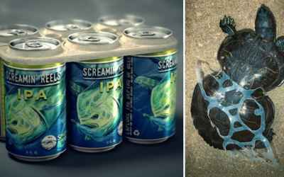 Beer Company Develops Edible Six-Pack Rings That Feed, Rather Than Kill, Marine Life