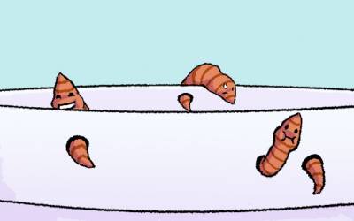 Worms that can eat plastic could save us from destroying the planet