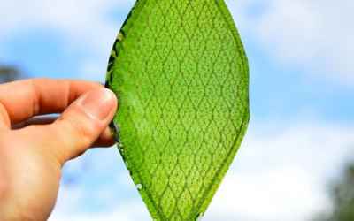 Synthetic Photosynthesis? New Tech Recycles Carbon Dioxide Faster Than Plants