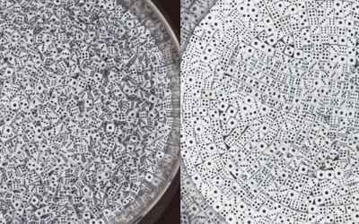 Watching 25,000 Dice Neatly Arrange Themselves Shouldn