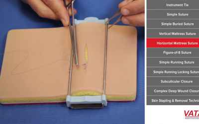 Surgical Knot and Suture Techniques Course Video Demo